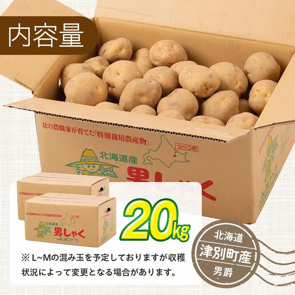 【先行受付】R8年産 特別栽培（男爵）じゃがいも 20kg  | ジャガイモ 芋 男爵 馬鈴薯 大容量 新鮮 野菜 煮物 カレー シチュー ポテト 保存 特産 産地直送 北海道 津別町 送料無料