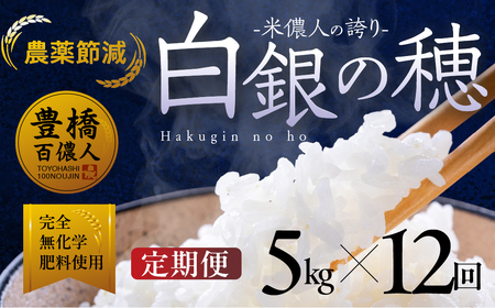 【定期便】米儂人の誇り 白銀の穂 5kg×12回 米 米 米 米 米 米 定期便 定期便 定期便 定期便 定期便