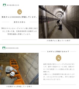 【数量限定】「早池峰の恵み」モリタワイン　ダム貯蔵熟成　赤・白ワイン 年代別飲み比べコンプリートセット 【2199】