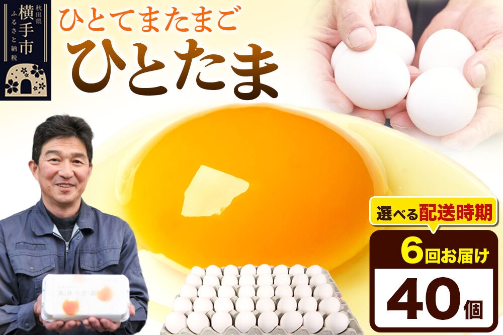 
            《定期便6ヶ月》ひとたま 40個（業務用）
          