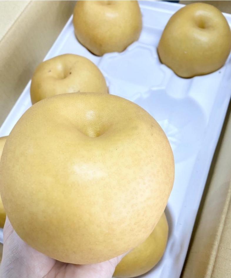 【 数量限定 】 伊万里梨 新高 2.5kg 113-B1076