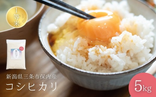 【コシヒカリ】新潟県産コシヒカリ 1等米コシヒカリ 5kg 2025年産コシヒカリ 三条市保内産コシヒカリ 精米 白米 令和7年産コシヒカリ 米 【013S132】