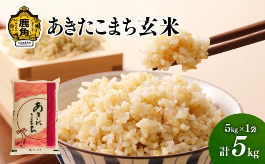 《先行予約》 玄米 あきたこまち 令和7年産 単一原料米「あきたこまち」玄米 5kg【こだて農園】●2025年10月下旬発送開始 米 単一原料米 単品 健康 栄養 低温乾燥 選べる 内容量 お米 先行予約 県産米 秋田県産 国産米 秋田県 あきた 鹿角市 鹿角 送料無料