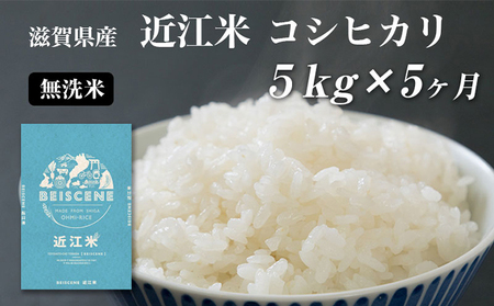 【寄附額見直しました】 特A受賞歴 定期便 5kg×5ヶ月 コシヒカリ 無洗米 令和7年産 近江米 米 こめ コメ滋賀 豊郷 定期 5回