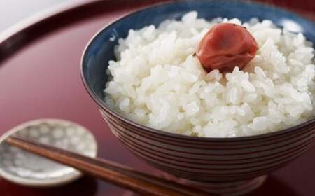 先行予約【令和7年産新米・10ヶ月定期便】新之助 無洗米 4kg（2kg×2袋）×10回（計 40kg）中村農研 [Y0541]