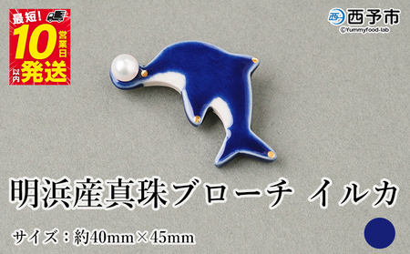 保証書付＜明浜産 真珠ブローチ イルカ（青）＞ 8.0～8.5mm 純国産 高品質 アコヤ真珠 宇和海 パール アクセサリー 陶器 ファッション レディース 小物 女性 誕生日 記念日 佐藤真珠 cosmic 愛媛県 西予市【常温】『最短10営業日以内に順次発送予定』ASS0038