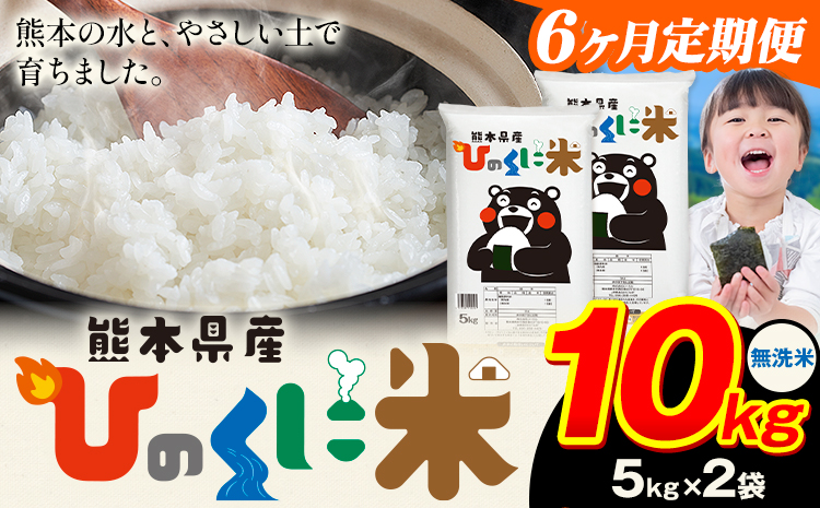 【6ヶ月定期便】 無洗米 ひのくに米 10kg 《お申込み翌月から出荷》 食品 米 こめ コメ 熊本県産 ふるさと納税 お米 おこめ 熊本---ubuyama_lcl_1076_mo6---