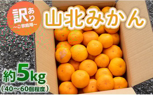 
            訳あり みかん 5kg 山北みかん ご家庭用 約5kg（約40～60個） 山北みらい - 果物 フルーツ 柑橘類 温州みかん ミカン 蜜柑 訳アリ わけあり 生産者応援 甘い おいしい 高知県 香南市 yk-0042
          