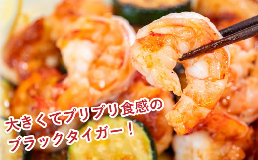  【 6ヶ月 定期便 】 むき えび ブラックタイガー 1.2kg x 6回 背ワタなし 保水剤無添加 冷凍 高級 下処理済 エビ 海老 人気 殻 むき 時短 特大 大型 大容量 無保水 【定期便6回