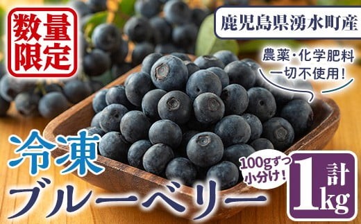 y527 《先行予約受付中！2026年9月以降順次発送》《数量限定》冷凍ブルーベリー(計1kg・100g×10パック) 冷凍 無農薬 国産 九州産 鹿児島県産 くだもの 果物 フルーツ シャーベット ジャム フローズン ベリー おやつ デザート 【体験型観光農園さつまドリームファーム】