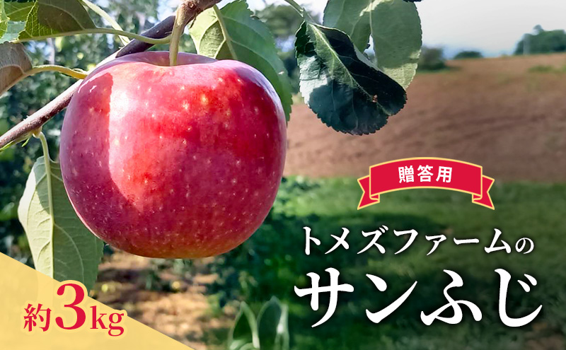 サンふじ（贈答用） 約3kg（8玉?12玉入り）トメズファーム　りんご　長野　信州　小諸　果物　フルーツ