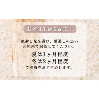 ふるさと納税 羽後町 無洗米 秋田県産 あきたこまち 5kg(5kg×1袋) 令和7年産[No.5325-0338] |  | 03