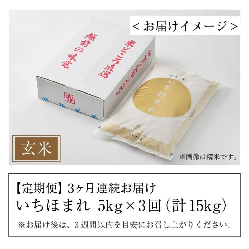 【令和7年産】定期便3回 いちほまれ 玄米 5kg×3回（計15kg）《新鮮な高品質米をお届け！》／ 福井県産 ブランド米 ご飯 [aw064-c007]