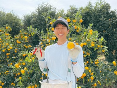 ひさしげ農園 せとかジュース６本入 MHS0022