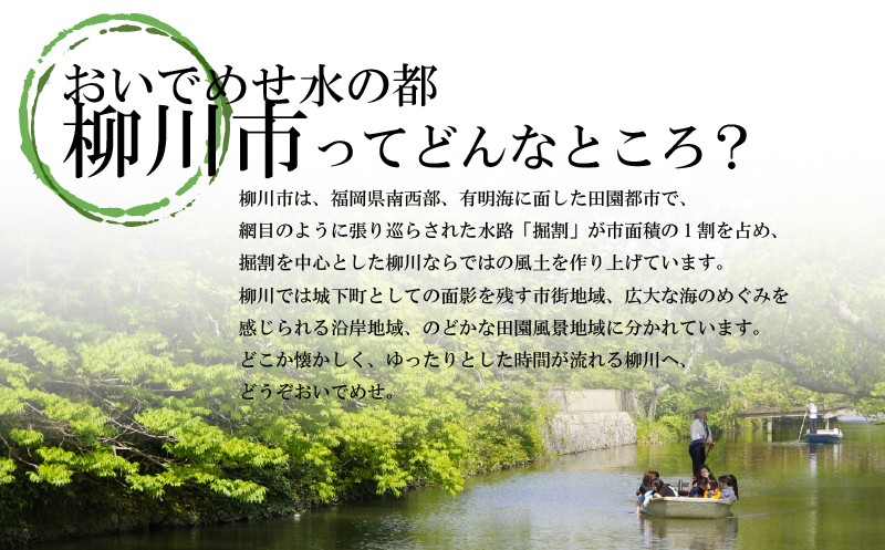 【受注生産】職人が一点一点丁寧に仕上げた力強い天然の木目が美しい収納棚。