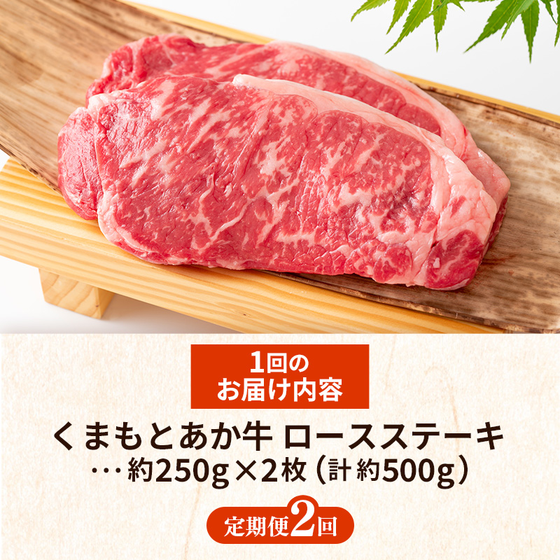 【定期便2回】 GI 認証 くまもとあか牛 ロースステーキ 約500g - 肉 お肉 牛肉 くまもとあか牛 あか牛 和牛 ステーキ ロース 冷凍 国産 九州産 熊本県産 熊本県 甲佐町_イメージ5