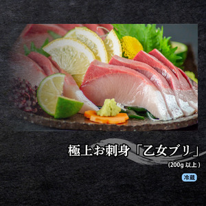 刺身定期便3ヶ月 鯛 鰤 かつお 定期便 定期便 定期便 定期便 刺身 刺身 刺身 刺身