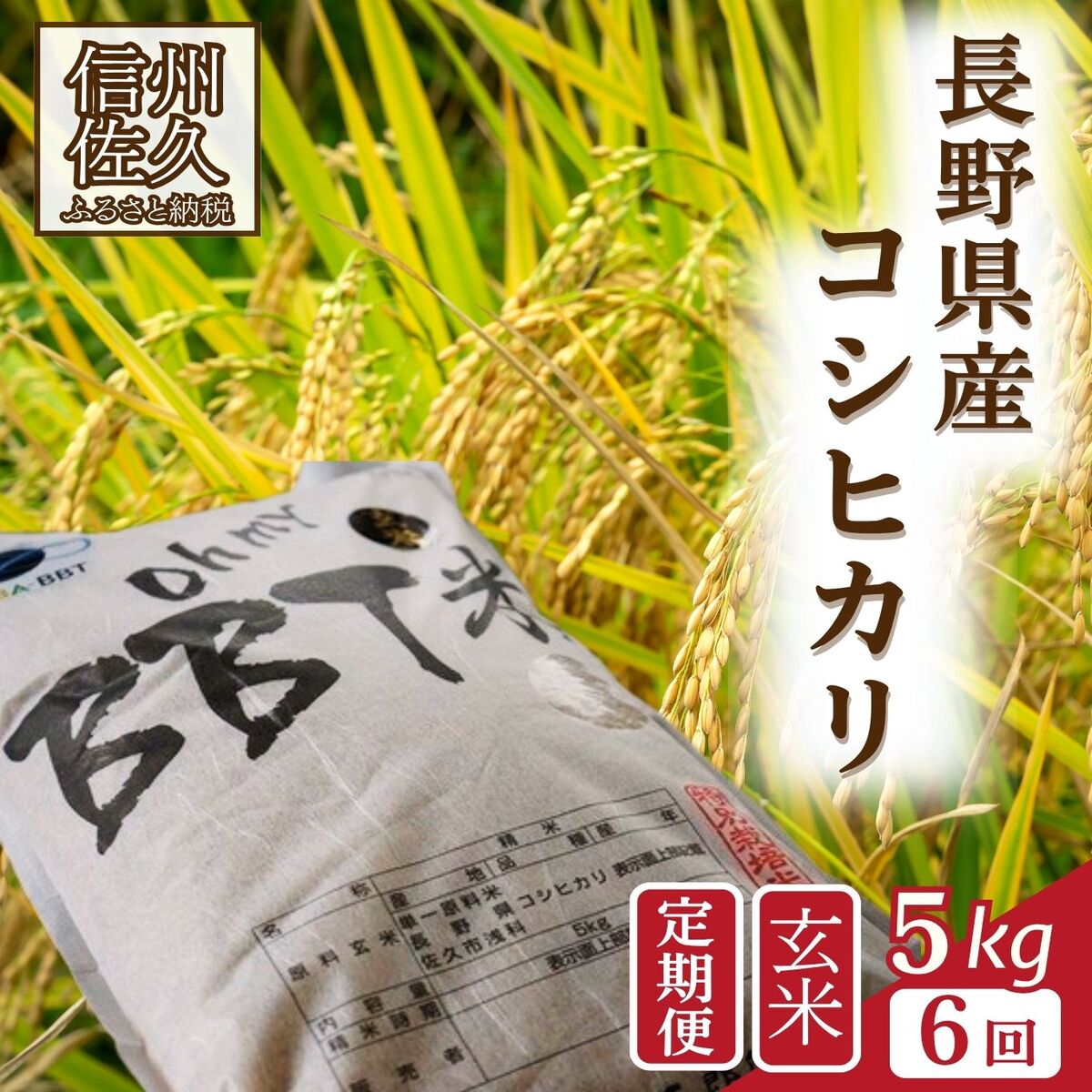 【ふるさと納税】【令和7年産・玄米5kg×6カ月定期便】特別栽培米 BBT米（五郎兵衛米） 〈2025年9月中旬頃～順次発送〉 先行予約 新米 信州 こしひかり【 米 コメ 玄米 お米 こめ おこめ 備蓄品 コシヒカリ 長野県 佐久市 】