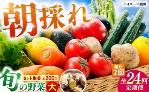 【24回定期便・月2回配送】 土佐の太陽をいっぱいに浴びた旬の野菜10〜13品目と生姜約200gのセット / 高知 土佐 旬 野菜 生姜 詰め合わせ セット 仕送り 【土佐野菜】 [ATBA017]