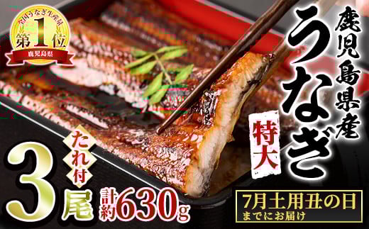 【0234303a-2507】＜土用丑の日までにお届け＞東串良町のうなぎ蒲焼(無頭)(3尾・計約630g・タレ、山椒付) 丑の日 土用丑の日 うなぎ 高級 ウナギ 鰻 国産 蒲焼 蒲焼き たれ 鹿児島 ふるさと 人気【アクアおおすみ】