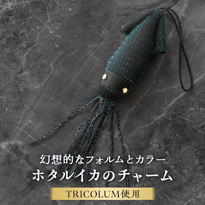 ふるさと納税 桐生市 ホタルイカのチャーム