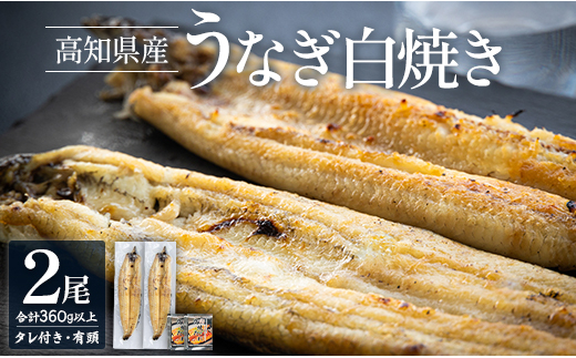 
            高知県産うなぎの白焼き 180～210g×2尾 - エコ包装 国産 うなぎ 白焼き 鰻 冷凍 高知 yw-0119
          