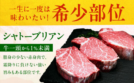 【新登場＆大感謝祭】博多和牛シャトーブリアン 300g（150g×2） /シャトーブリアン ステーキ[AFCN005]