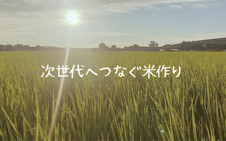 見沼田圃　ほたる米（無農薬／無化学肥料玄米） コシヒカリ 5kg　【11100-1138】