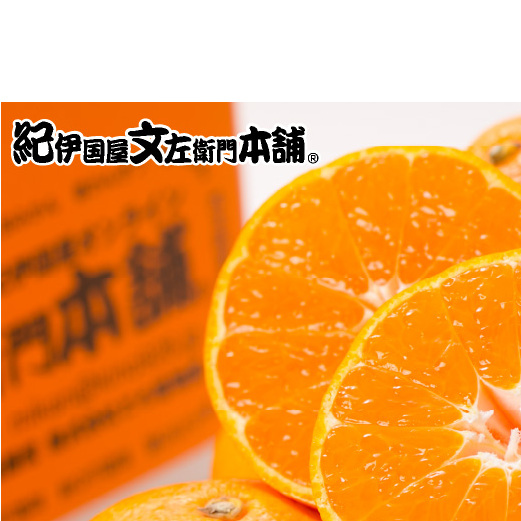 【2026年先行予約】有田みかん 約15kg(+傷み補填分1kg)=合計16kg【サイズおまかせ】 / 産地直送 / 紀伊国屋文左衛門本舗（お届け日指定不可）_V7440