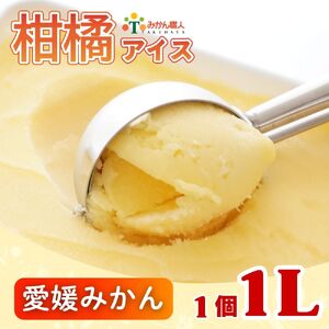 柑橘アイス 1L (1個1L)【 愛媛みかん 】 少量 お試し 旬 農家直送 特産品 さっぱり 大人 旨味 アイス ジェラート シャーベット ソルベ アイスクリーム ランキング 人気 業務量 業務用 訳あり ワケアリ 家庭用 みかん 柑橘 かんきつ まどんな 愛果28号 愛南ゴールド 不知火 デコポン ぽんかん 冷凍 冷凍みかん 冬 夏 みかん職人武田屋 愛媛県 愛南町