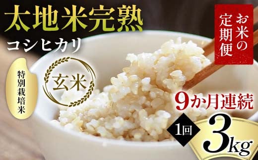 
                  【先行予約】お米の定期便 特別栽培米 太地米完熟 【こしひかり】 玄米3kg×9か月連続 ブランド米 お米 人気 F7X-0698
                