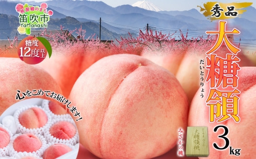 
                  【2026年発送★先行予約】桃 秀品 3.0kg 大糖領 糖度12％以上※クール便配送 177-002　| もも 桃 大糖領 発送 山梨 笛吹市 糖度センサー 高糖度 化粧箱 希少 希少品種 ピーチ 果物 フルーツ 新鮮 旬 秀品 3kg 国産 高級 山梨県笛吹市 2026年発送 高級品種 先行 贈答用 贈答 ギフト
                