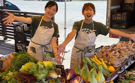 季節の彩り野菜セットMサイズ(9～11品) 野菜 詰め合わせ 新鮮 産地直送 北海道 江別市 EB8-0154