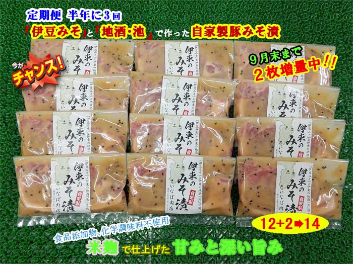 G3*【ふるさと納税】【定期便 全3回】「いとうのいいもの」認定 いなば肉店 伊東のみそ漬 国産豚 12枚+2枚 合計14枚セット 9月末まで2枚増量中 半年に3回