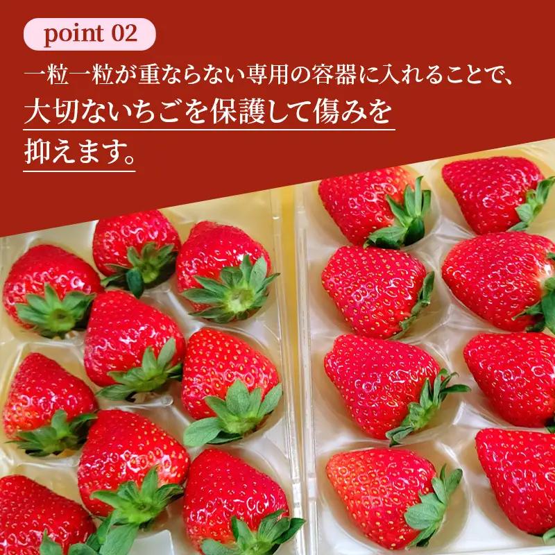 先行予約 いちご 完熟 奈乃華 約250g(250g×1パック ) 佃農園のこだわり フルーツ 果物 旬 産地直送 旬のフルーツ 旬の果物 お取り寄せ デザート イチゴ 苺 冷蔵 奈良 奈良県 大和郡