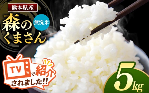 R7年産 森のくまさん 無洗米 5kg | お米 米 無洗米 5キロ 国産 国産米 熊本県 玉名市 くまもと たまな