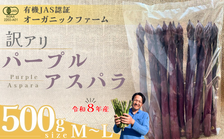 【先行予約】 訳あり オーガニック パープルアスパラガス  M～L 500g アスパラガス