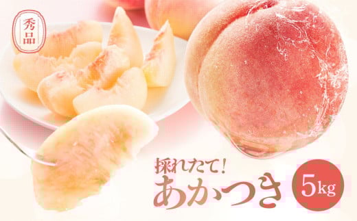 長野県産 桃(あかつき)約5kg 秀品〈2025年7月下旬～8月下旬発送〉| 桃 もも モモ あかつき 長野県 産地直送 くだもの 果物 フルーツ デザート 送料無料 長野県 飯田市