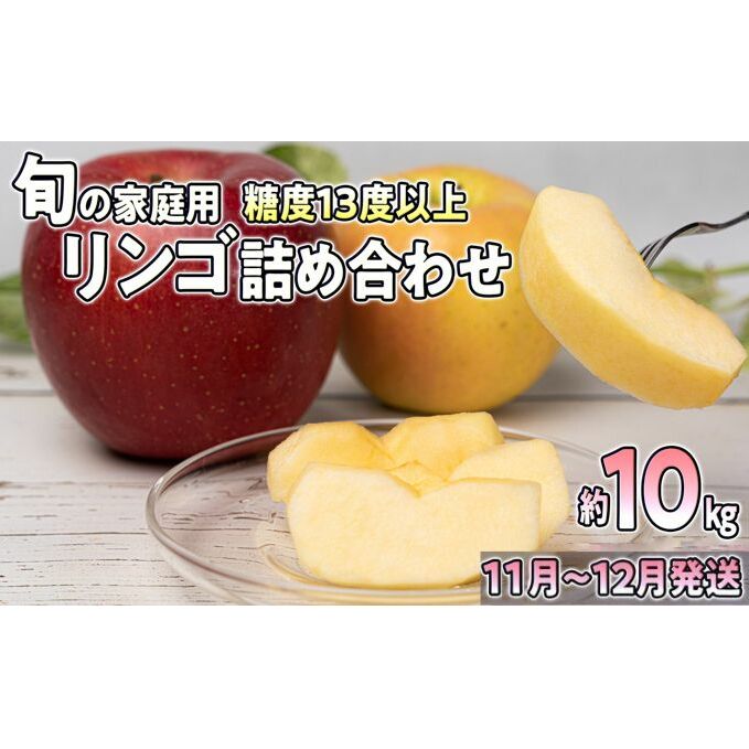 11月～12月発送 家庭用 旬のリンゴ詰め合わせ 約10kg 糖度13度以上【弘前市産・青森りんご】