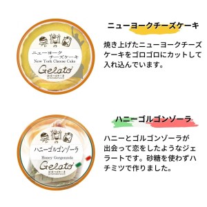 果樹園のジェラートセレクトvol.2 [6種×各2個] 合計12個セット  ジェラート詰合せ アイス詰合せ  [田沢農園] 【019S037】