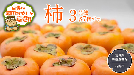 柿 3品種食べ比べ(各7個)【令和6年10月中旬より発送開始】（茨城県共通返礼品：石岡市産） 果物 フルーツ 茨城県産