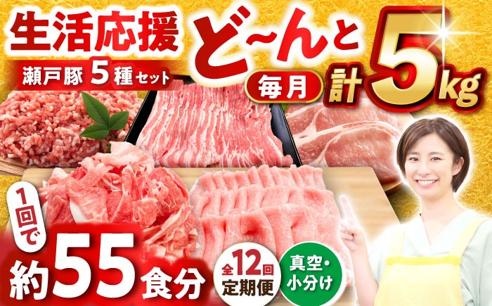 
                  【全12回定期便】 瀬戸豚 豚肉 生活応援セット 計5kg / 豚肉 小分け しゃぶしゃぶ セット / 瀬戸市 / 関屋精肉店 [BBBQ218]
                