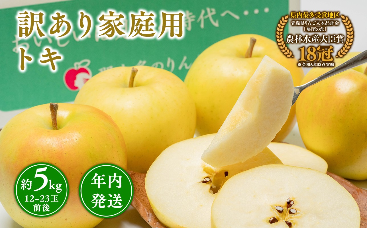 
            年内発送 【訳あり】家庭用 トキ 約5kg【青森県 平川市 那由多のりんご園】家庭用 青森 青森県産 平川 りんご リンゴ 林檎 くだもの 果物 フルーツ 
          