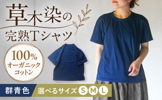 オーガニックコットン 完熟Tシャツ　【群青色】Mサイズ / オーガニック コットン 綿100 草木染め Ｔシャツ 半袖 トップス ファッション インナー 女性用 レディース 男性用 メンズ ユニセックス 男女兼用 母の日 父の日 誕生日 ギフト 贈り物 贈答 プレゼント 母の日ギフト 父の日ギフト おしゃれ ラッピング / 大村市 / ISTIST [ACZW056-2]
