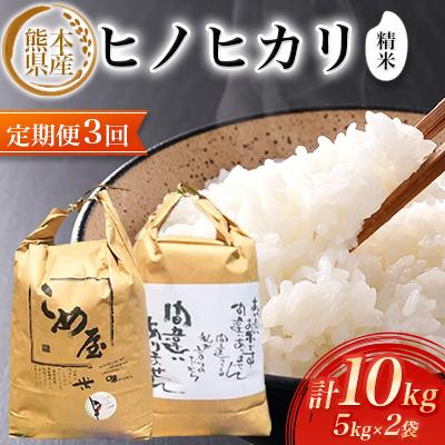 ふるさと納税 玉名市 【毎月定期便】熊本県産ヒノヒカリ(精米) 5kg×2個全3回