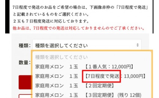 
                  【メロン】 訳あり 訳ありメロン 秀品 2026年発送 家庭用 贈答用 [１玉２玉３玉２回３回６回12回] 定期便 メロン meronn wakeari メロン 1玉 2玉 青肉 旬 【めろん】 高級メロン 高級 わけ有りメロン 1玉 2玉 完熟 産地直送 フルーツ 果物 旬のフルーツ 甘い ブランド 贈答 ギフト プレゼント 糖度 糖ど とう度 メロン 7月発送 メロン訳あり Ttn-0060
                