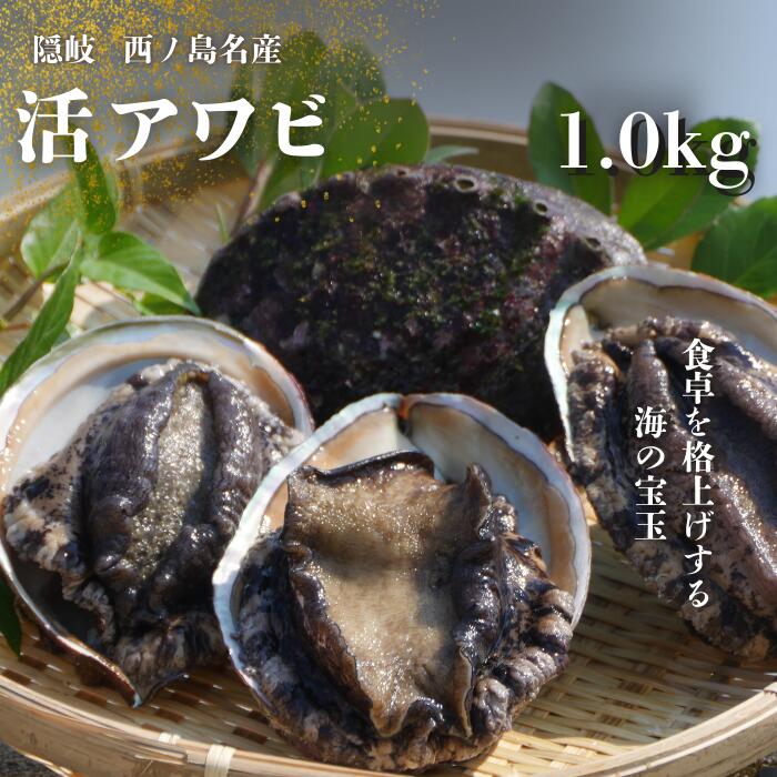 【ふるさと納税】 天然活アワビ あわび 天然 活 1kg 1キロ 隠岐 西ノ島町 天然 新鮮 あわびステーキ　高級あわび 特大あわび あわびギフト バーベキュー BBQ 海鮮 あわびバター焼き あわび炊き込みご飯 健康 多彩なレシピでおいしく楽しめる。お中元　贈り物に