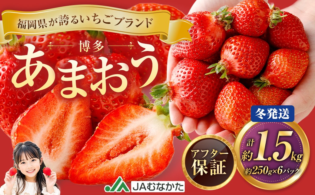 
                  博多 あまおう 6パック（冬）【2026年12月上旬～2027年1月下旬発送予定】
                