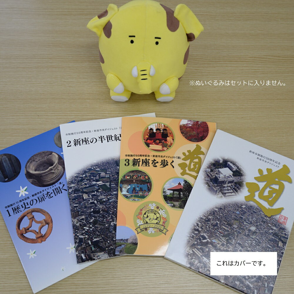 【ふるさと納税】新座市史ダイジェスト「道」　3冊＋カバーセット