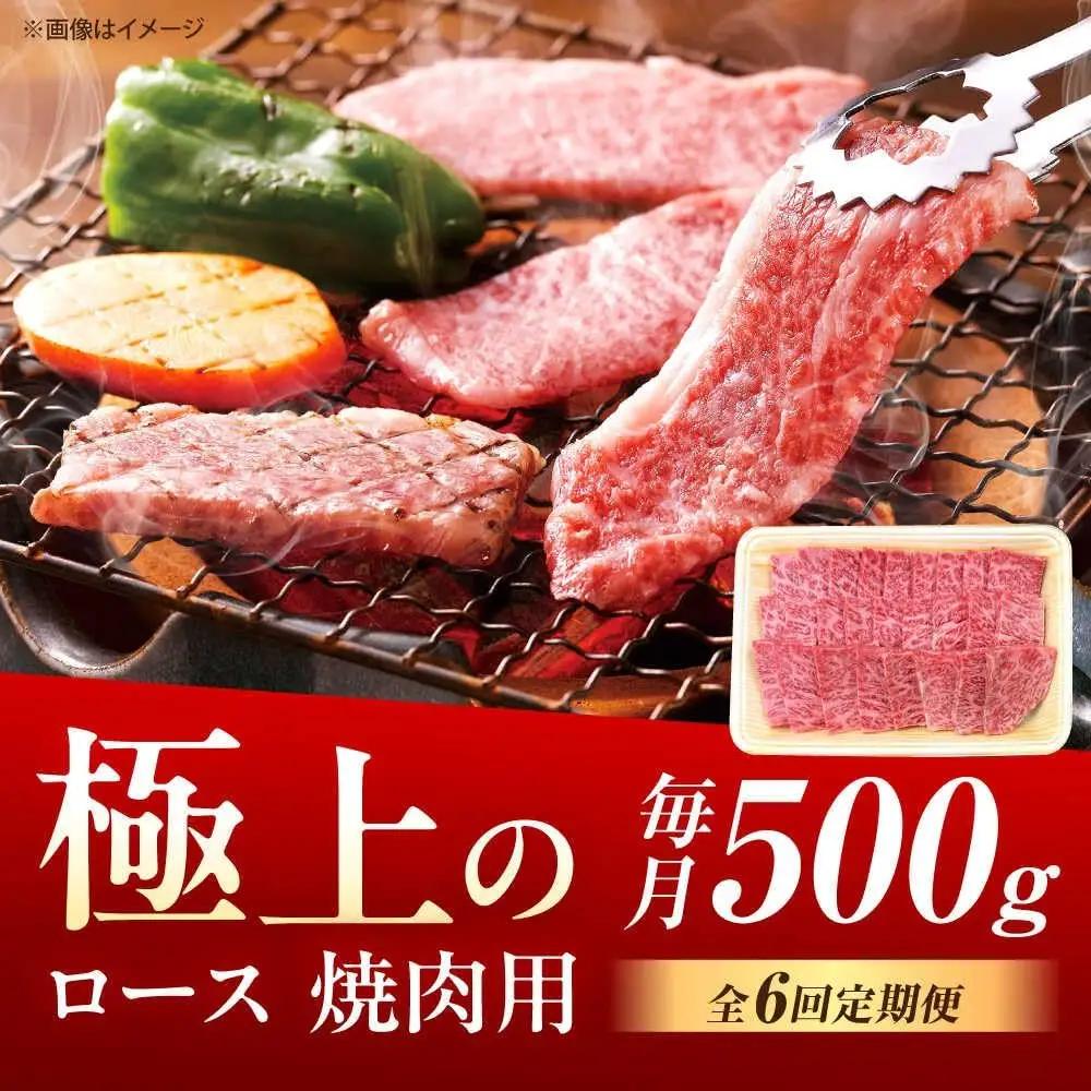 【6回定期便】 佐賀牛 ロース焼肉 500g ロース [UEM056]